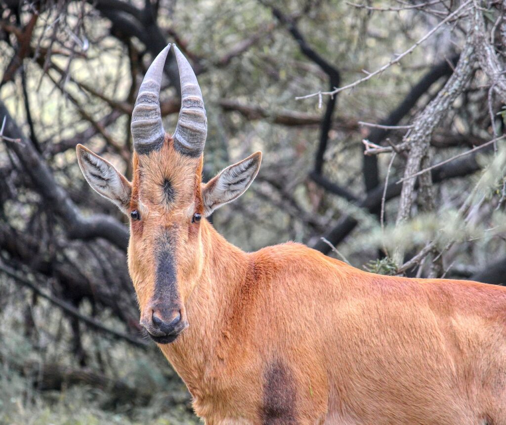 Discover Namibia